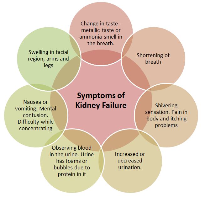 Ayurvedic IGA nephropathy