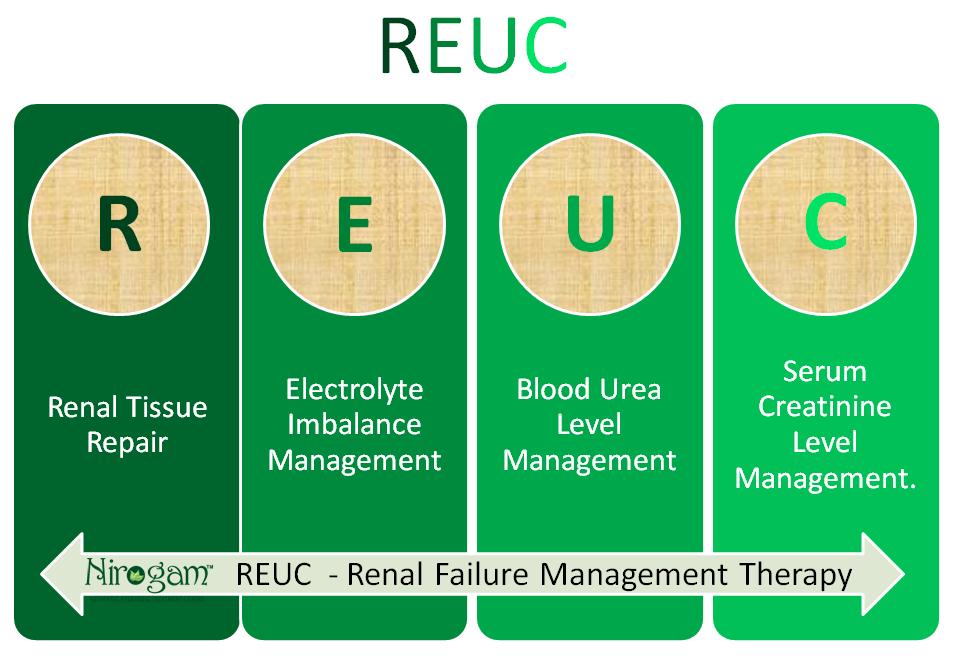 kidney failure treatment in ayurveda