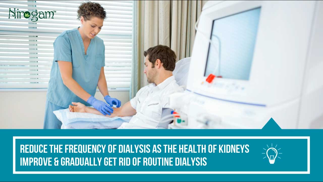 ayurvedic kidney treatment