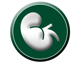 ckd treatment in ayurveda