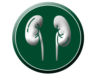 Kidney Stones Treatment